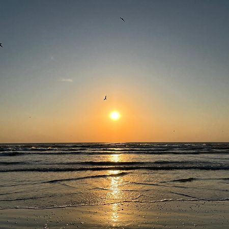 Excelsior Apartaments Mamaia Nord ナボダリ エクステリア 写真