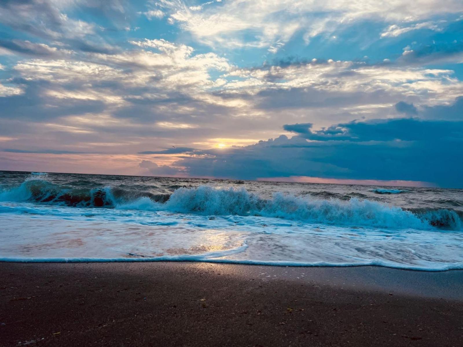 Excelsior Apartaments Mamaia Nord ナボダリ エクステリア 写真
