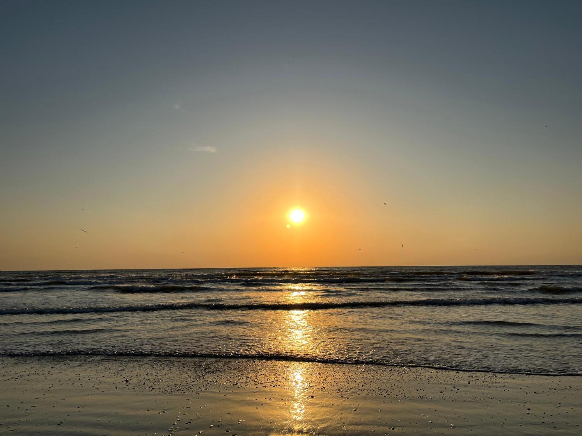 Excelsior Apartaments Mamaia Nord ナボダリ エクステリア 写真